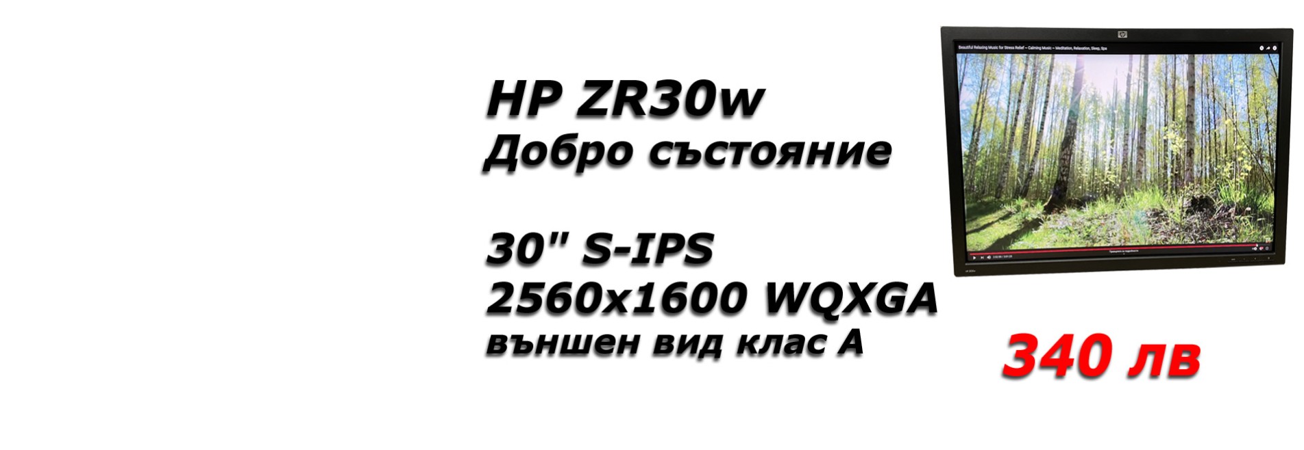 HP ZR30w 30" 