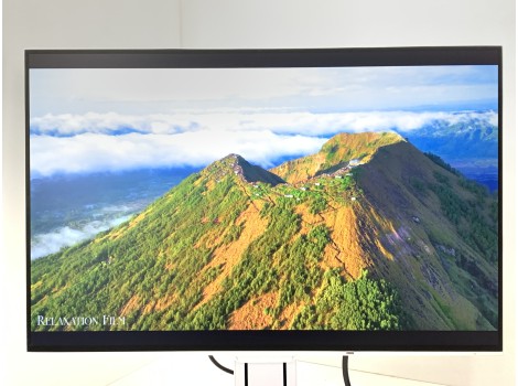 Eizo FlexScan EV2456 24" (клас А)