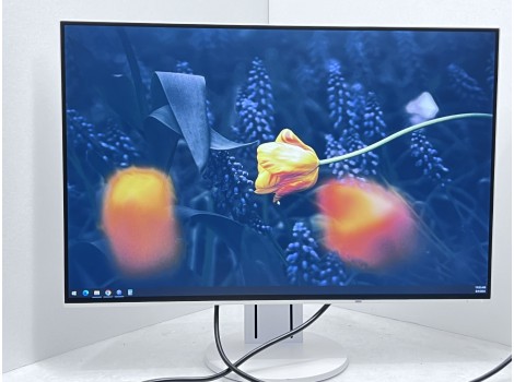 Eizo FlexScan EV2456 24" (клас А)