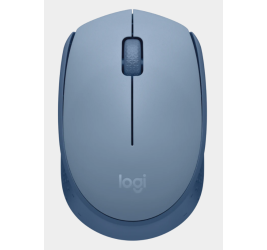 Logitech M171