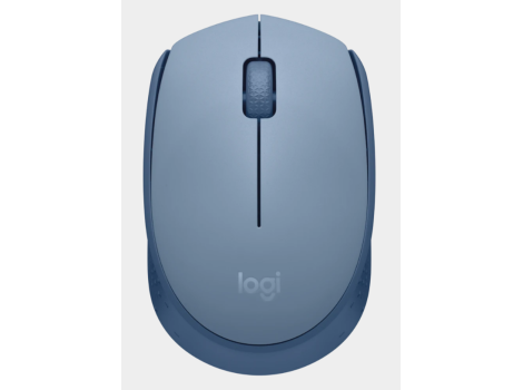 Logitech M171