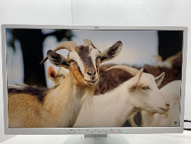Монитор Fujitsu B24-8 Te Pro 24" (клас Б)