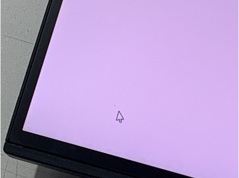 Eizo FlexScan EV2456 24" (клас Б)