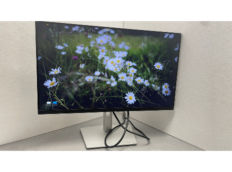 Dell P2422H 24" (клас Като Нов)