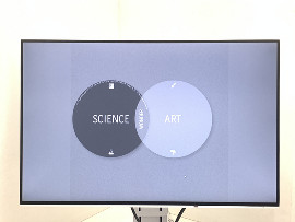 Монитор Eizo FlexScan EV2456 24" (клас А)