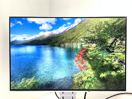 Монитор Eizo FlexScan EV2456 24" (клас А)