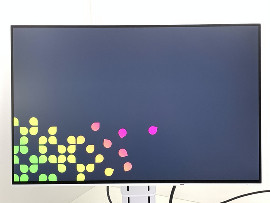 Монитор Eizo FlexScan EV2456 24" (клас А)