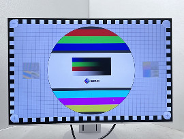 Монитор Eizo FlexScan EV2456 24" (клас А)