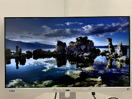 Монитор Fujitsu DY24-9T 24" (клас А)