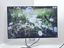 Монитор Eizo FlexScan EV2456 24" (клас А)