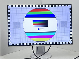 Монитор Eizo FlexScan EV2456 24" (клас Б)