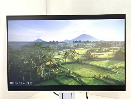 Монитор Eizo FlexScan EV2456 24" (клас А)