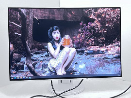 Монитор Eizo FlexScan EV2456 24" (клас А)
