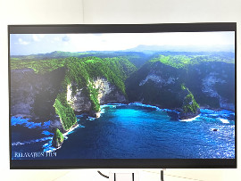 Монитор Eizo FlexScan EV2456 24" (клас А)