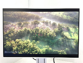 Монитор Eizo FlexScan EV2456 24" (клас А)