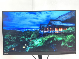 Монитор Lenovo ThinkVision P24q-10 24" (клас А)