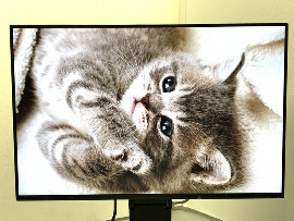 Монитор Eizo FlexScan EV2456 24" (клас А)
