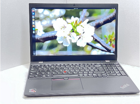 Lenovo ThinkPad L15 15.6" AMD Ryzen 5 PRO 4650U 16GB 260GB клас А