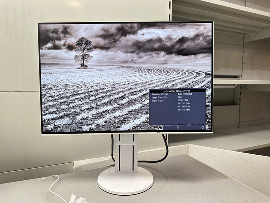 Монитор Eizo FlexScan EV2456 24" (клас А)