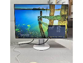 Монитор Eizo FlexScan EV2456 24" (клас А)