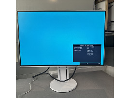 Монитор Eizo FlexScan EV2456 24" (клас А)