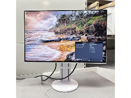 Монитор Eizo FlexScan EV2456 24" (клас А)